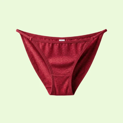 กางเกงในบิกินี่