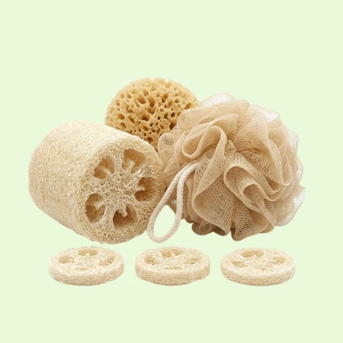 ใยขัดตัว & ฟองน้ำอาบน้ำ